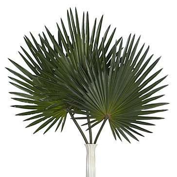 Palm Stem - Set of 3 | Sanctuary Dining Room2 | Dining Room Inspiration