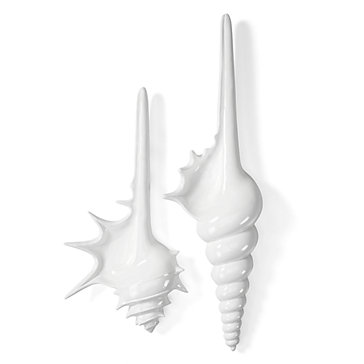 Shell Plaques - White