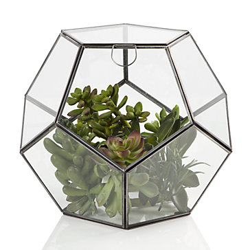 Zinc Terrarium