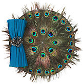Peacock Feather Placemat - Set of 4