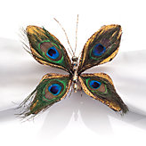 Peacock Butterfly Napkin Ring - Set of 4