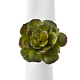 Succulent Napkin Ring - Set of 4