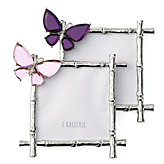 Butterfly Jeweled frames