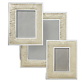 Everglades Frame - Gold