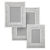 Everglades Frame - Silver