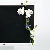 Pipin Vase - 4.5