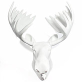 Moose Head - 31