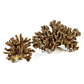 Faux Coral - Gold
