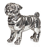 Standing Pug