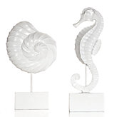 Faux Seahorse and Nautilus