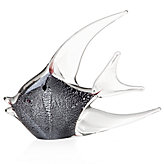 Glass Angel Fish