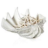 Atlantis Clam Shell - Extra Large