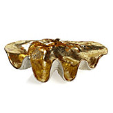 Atlantis Clam Shell - Gold