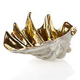 Atlantis Clam Shell