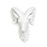 Ram Head