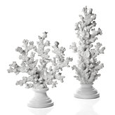 Faux Fan Coral