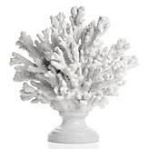 Faux Fan Coral