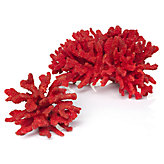 Faux Coral - Coral