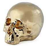 Morton Skull