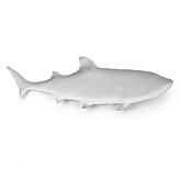 Shark Plaque