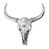 Silver Cow Skull