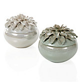 Chrysanthemum Box