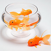 Light up Koi Toy
