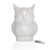 Owl Coin Bank