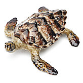 Tortoise Trinket Box