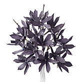 Magnolia Cement - Set of 3 - Thistle