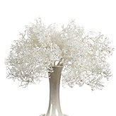 Coral Bush - Set of 3