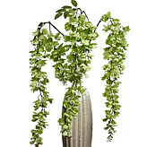 Wisteria Spray - Set of 3 - Green