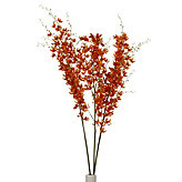Dancing Oncidium Stem - Set of 3