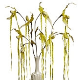 Slipper Orchid Spray - Lemon