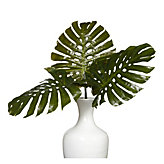 Split Philodendron Leaf