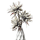 Spider Daisy - Set of 3 - Grey