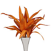 Seaweed Stems - Set of 3 - Orange