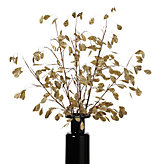 Silver Dollar Spray - Set of 3 - Gold