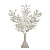 Seaweed - Set of 3