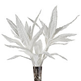 Seaweed Stems - Set of 3 - White