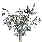 Silver Dollar Branch - Set of 3 - Venetian Blue