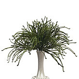 Grass Bush - Set of 3