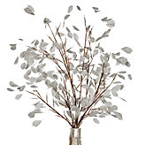 Silver Dollar Branch - Set of 3 - White