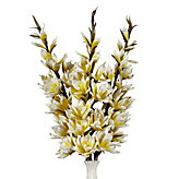 Large Hollyhock - Set of 3 - Lemon