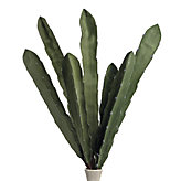 Cactus Branch - Set of 3