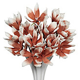 Magnolia Stem - Set of 3 - Burnt Orange