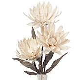 Lotus Stem - Set of 3