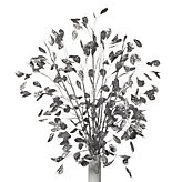 Silver Dollar Branch - Set of 3 - Silver