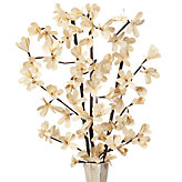 Sakura Flower - Set of 3 - Natural