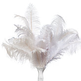Ostrich Feathers - Set of 3